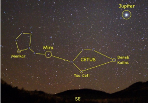 tau-ceti