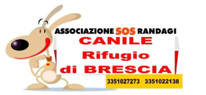 logo da inserire