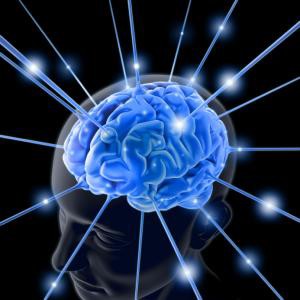 intelligenza