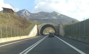tronchi stradali