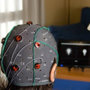 Brindisys