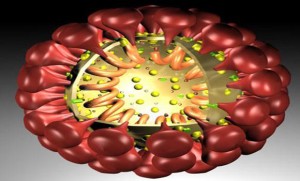 coronavirus