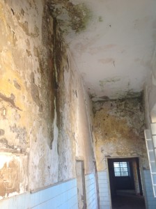 IMG_1282 - Copia