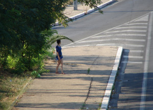 lucciole