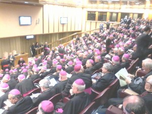 assemblea Cei1