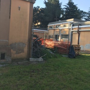 dominici9