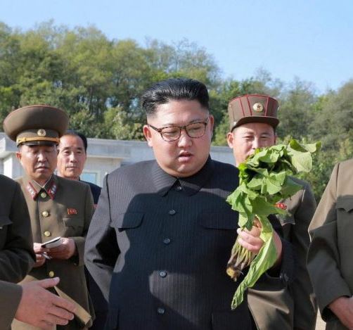 corea2