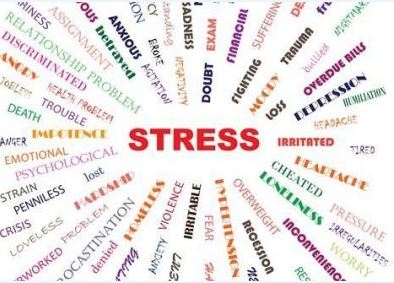 Stress e disturbi da stress: sintomi e cura