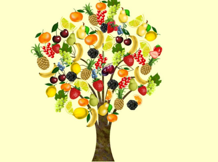 Alimentazione sana: consigli e suggerimenti pratici