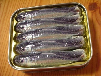 sardine