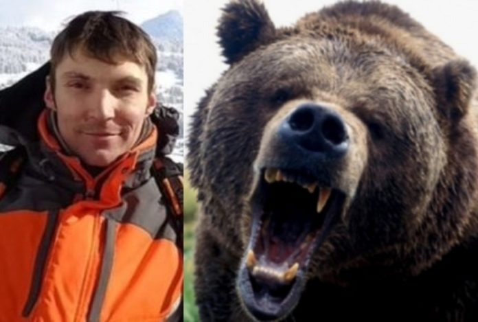 turista_orso.jpg_1969026887