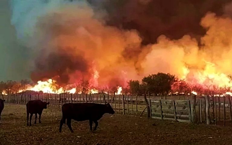 In fiamme la provincia di Roma. Stato di calamità naturale fino al prossimo 30  settembre.