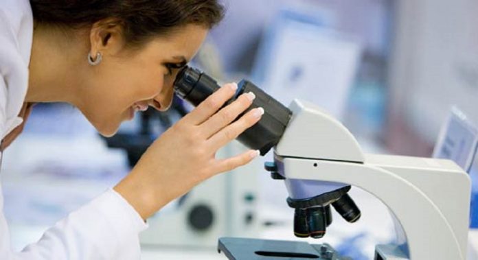 ricerca scientifica