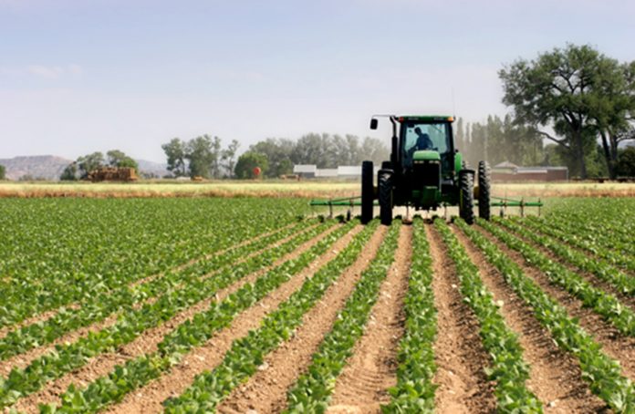 agricoltura