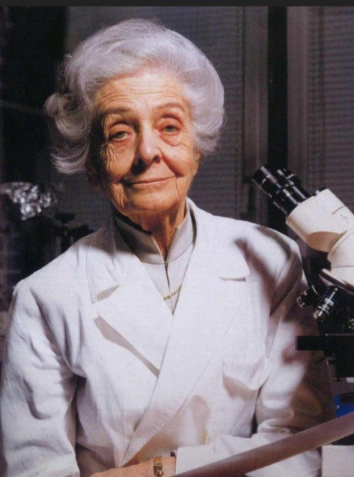 E’ uscito il nuovo bando del ” Programma Rita Levi Montalcini”.