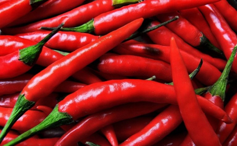 Cia-Agricoltori Italiani, richiesto con urgenza Igp del peperoncino calabrese per contrasto alla concorrenza.