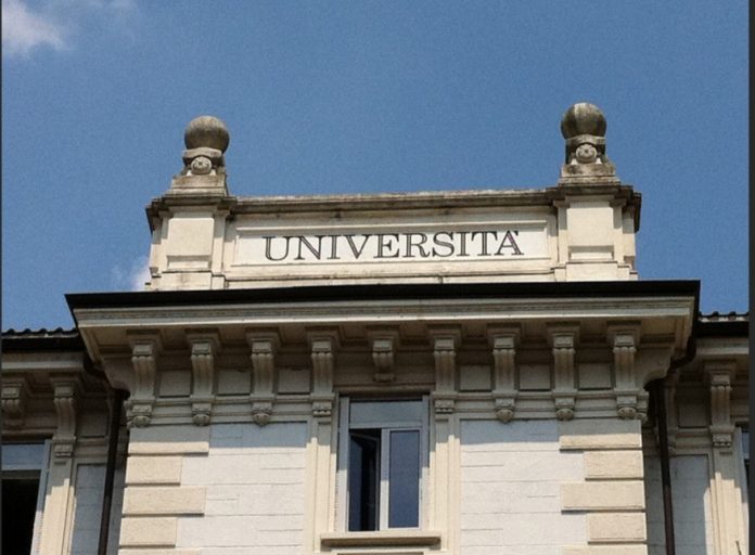 università