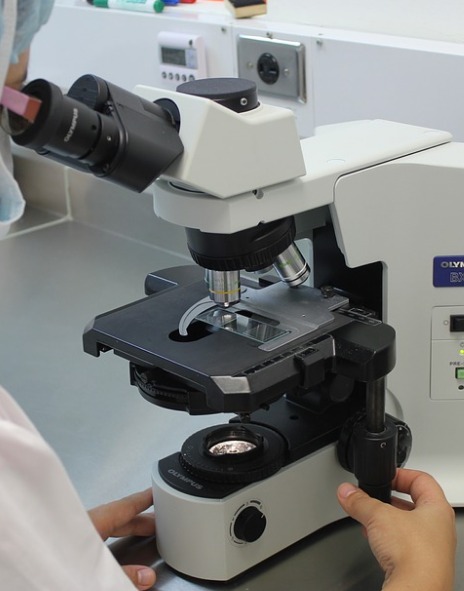Pnrr, bando per portare giovani ricercatori di eccellenza.