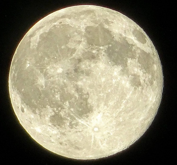 Luna, scattato il conto alla rovescia per Artemis 1.