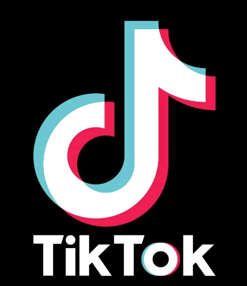 Da Berlusconi a Renzi, tutti su TikTok.