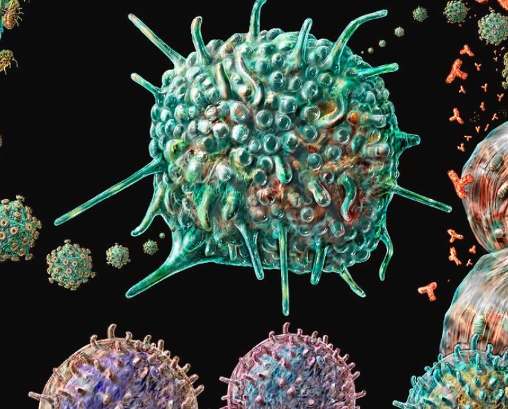 Aids, nuovo caso di paziente guarito da Hiv dopo trapianto staminali