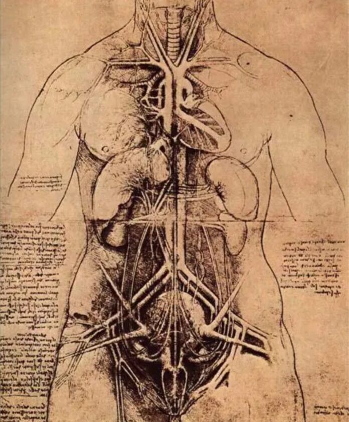 Leonardo