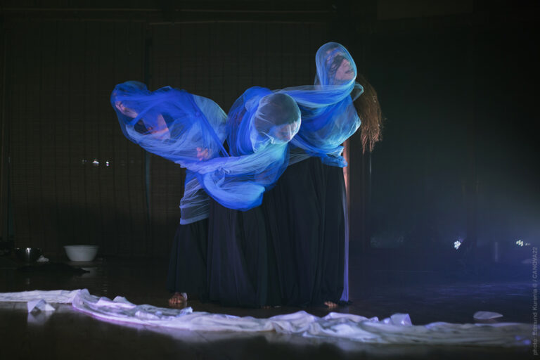 “DANCE SCREEN IN THE LAND” 2023. Il corpo dell’arte/L’arte del corpo.