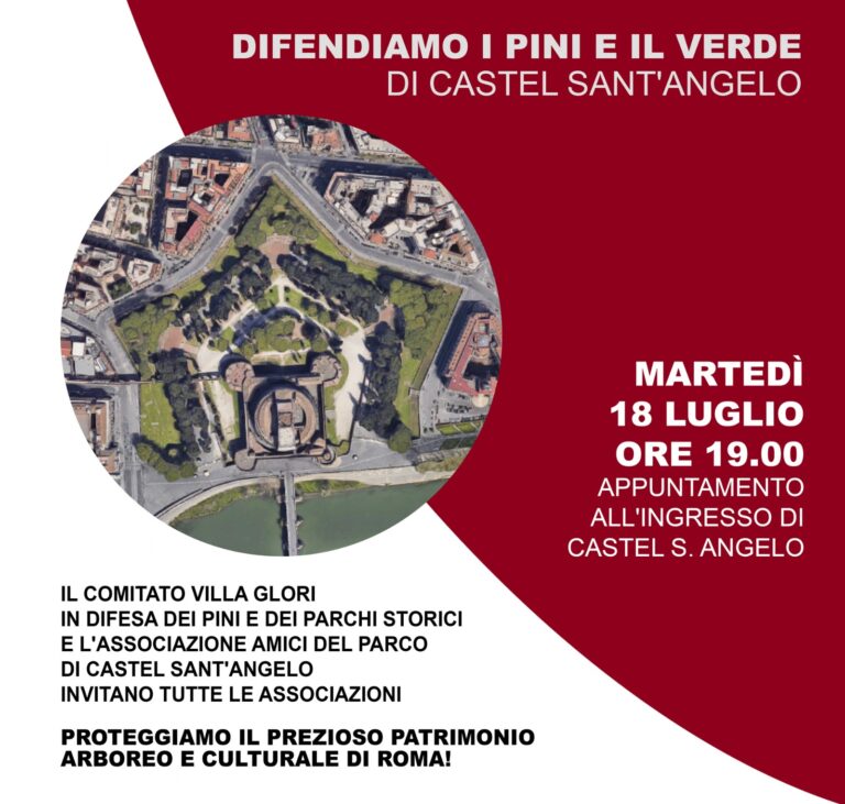 Difendiamo i pini e il verde di Castel Sant’Angelo.