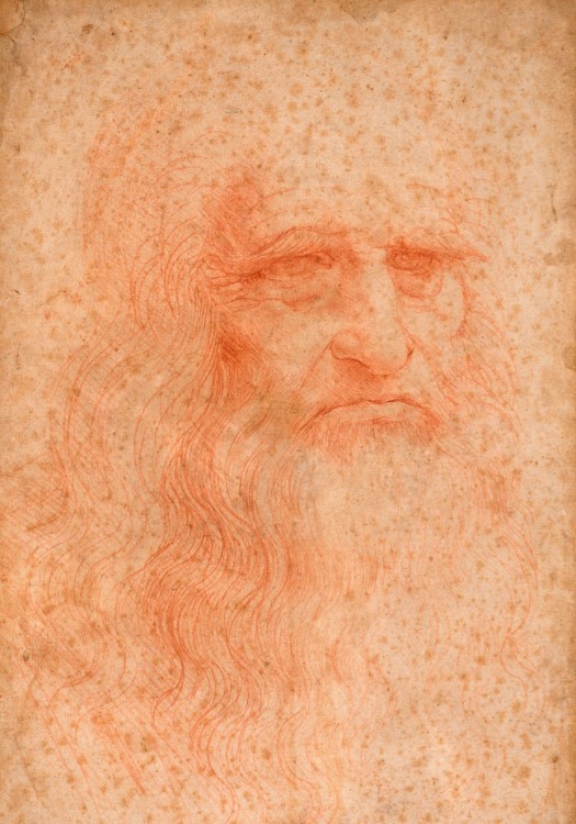 Google Arts & Culture presenta la più grande retrospettiva online dedicata a Leonardo da Vinci.