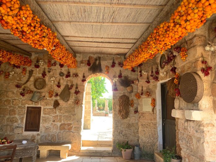 Yeast-Photo-Festival-Salento-2023.-Photo-Claudia-Zanfi-6