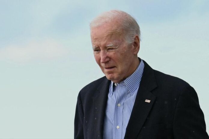 joebidenafp1