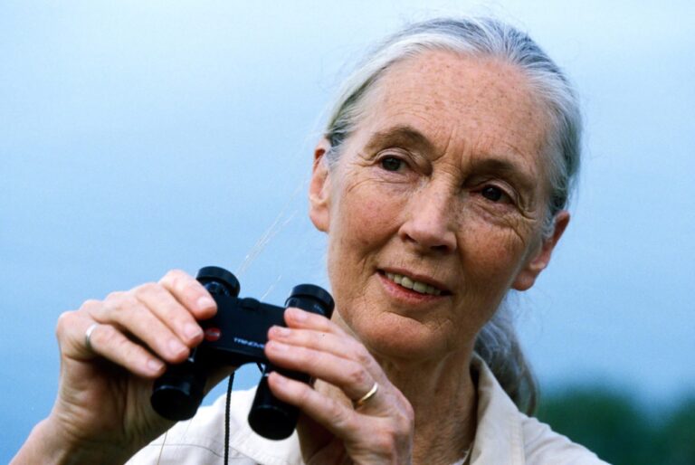 Cambiare si può. Le scuole incontrano Jane Goodall.