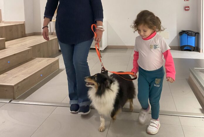wins loves pets