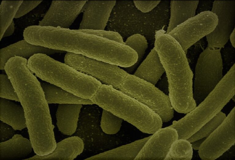 Sconfiggere la Resistenza Antibiotica: Strategie e Sfide.