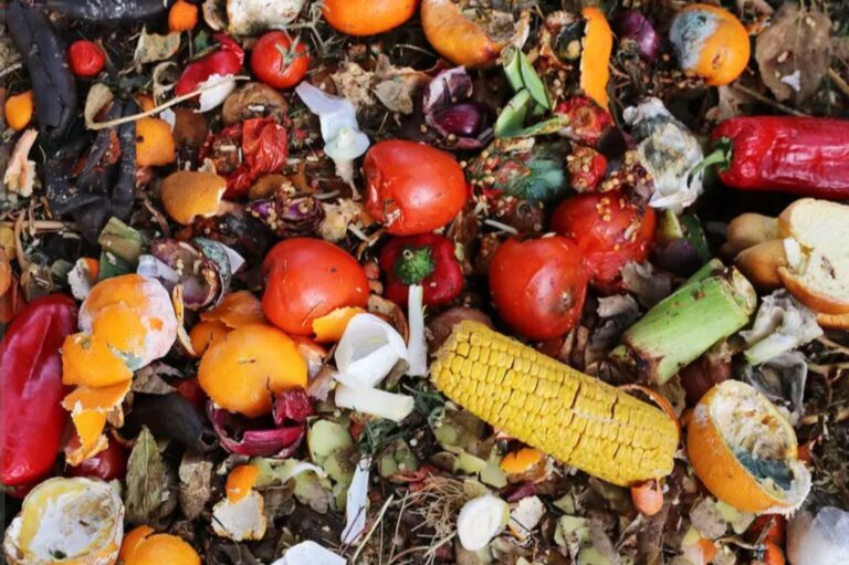 L’Italia spreca 4,2 miliardi di pasti, cibo per 4 milioni poveri.