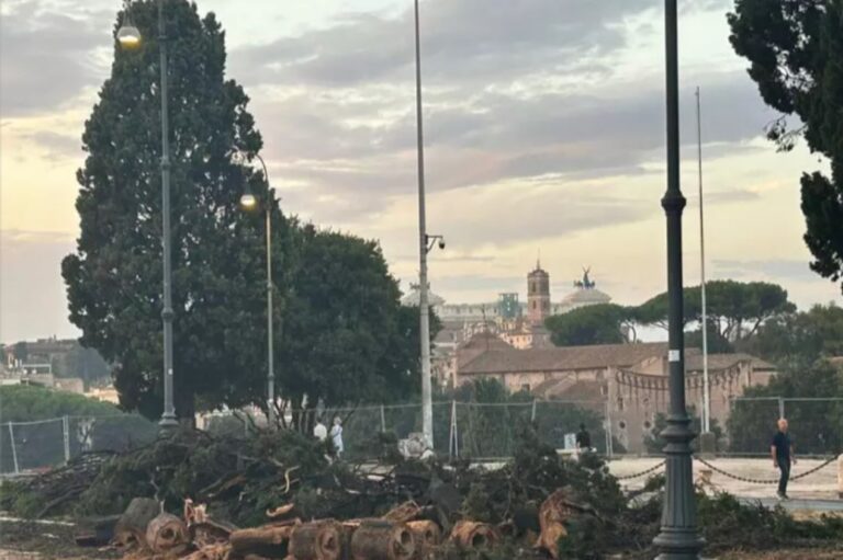 Indagine su alberi caduti a Roma, in 23 rischiano processo.