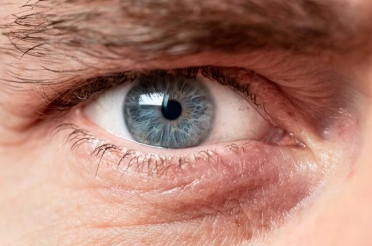 Da Alzheimer a infarto, l’occhio svela malattie ed età biologica.