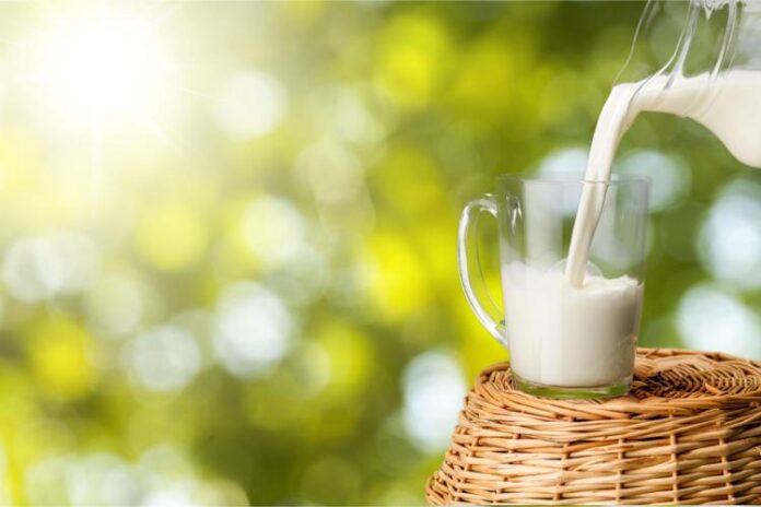 latte_123rf