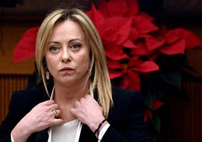 Meloni_seria1