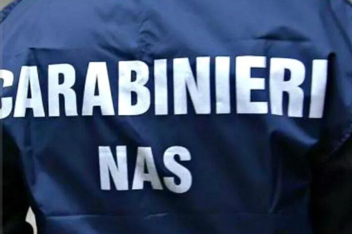 NAS2