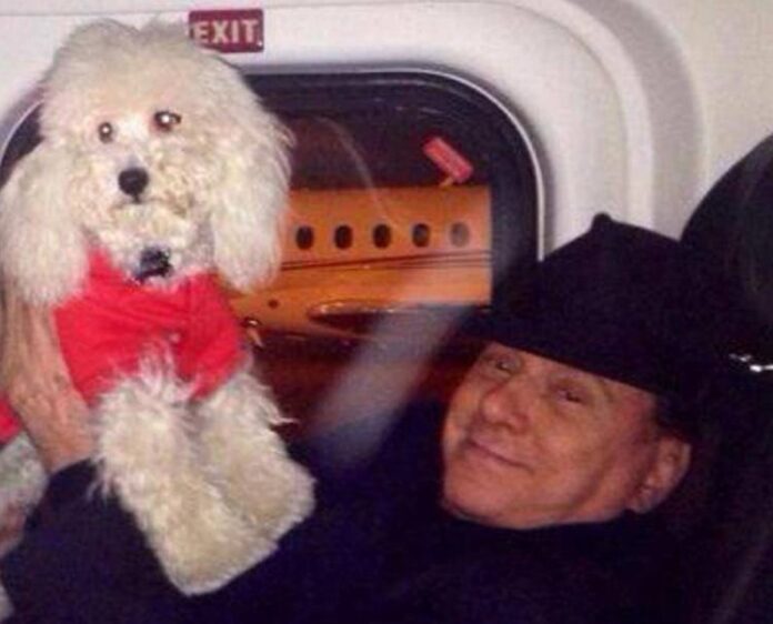 Berlusconi_Dudù