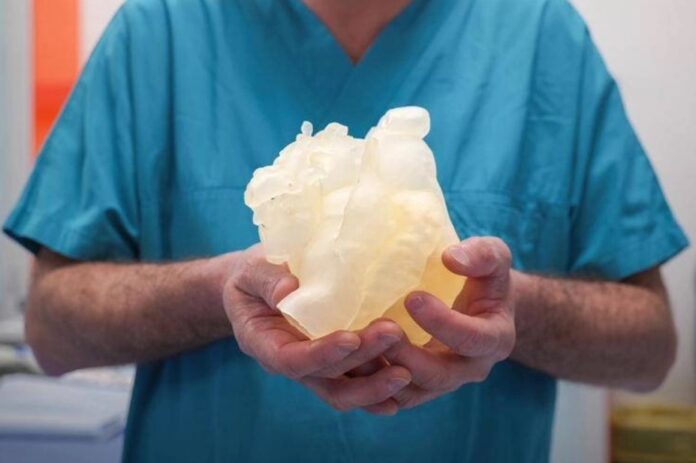 Cuore_3D