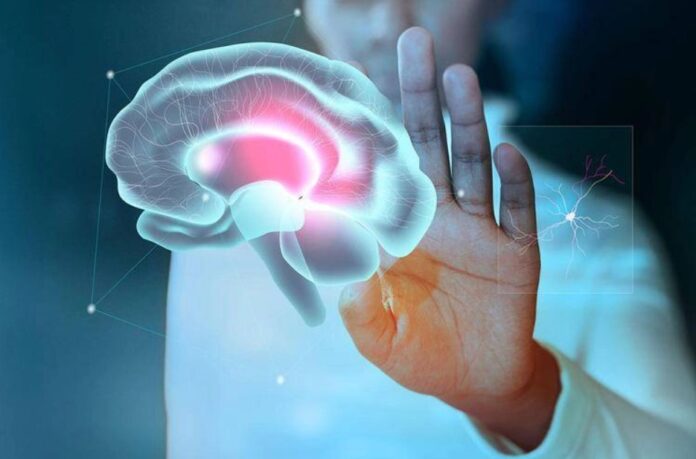 Malattie_neurodegenerative