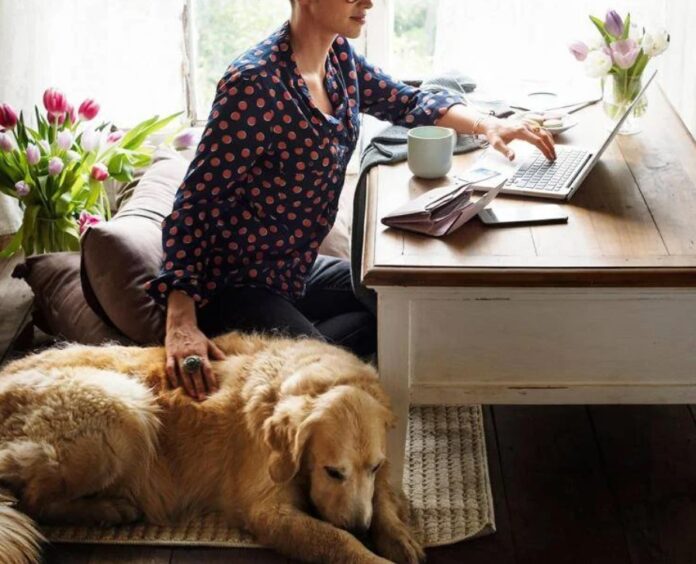 Donna_lavora_con_cane_vicino