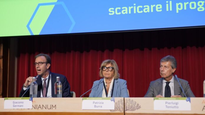 Germani, Burra, Toniutto
