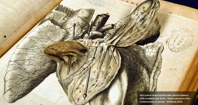 La lunga storia dei libri animati e interattivi. Fino al 28 febbraio 2026 una mostra all’Università La Sapienza di Roma.