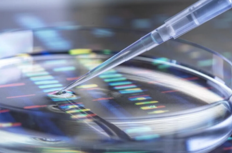 Addio alle diete “fotocopia”: oggi la nutrizione si scrive nel DNA.