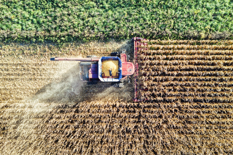 Puglia, Sicilia, Calabria e Campania hanno il 44% delle imprese agricole italiane, ma solo il 6,2% innova. Il nuovo report presentato a SIOS26 Summer a Cagliari.