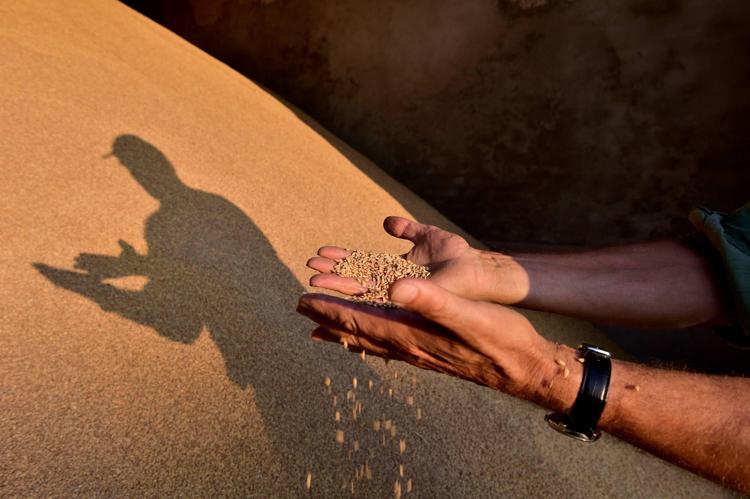 Agricoltura, la Cia lancia l’allarme: “Prezzi invariati da 40 anni, produttori e consumatori in ginocchio”.