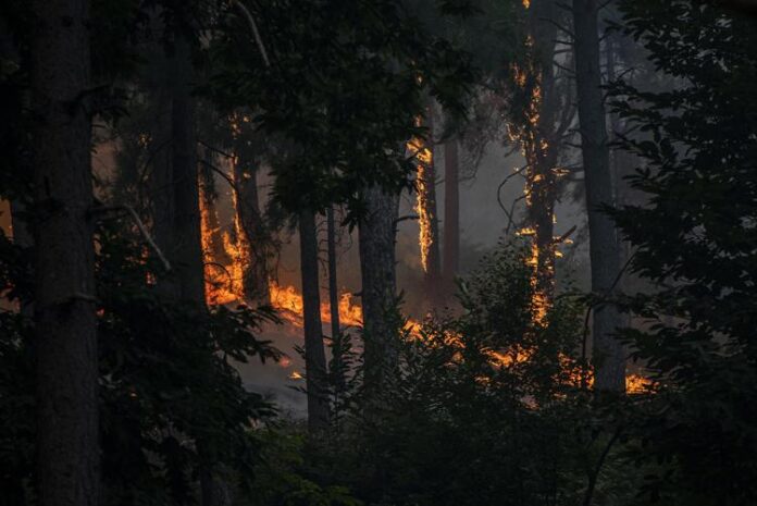 incendio_avila